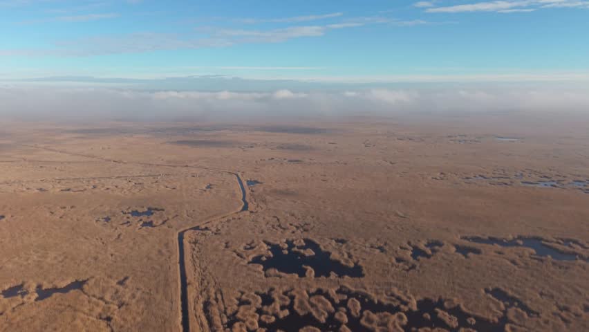 An expansive aerial view of a golden marshland stretching to the horizon under a clear blue sky. A narrow water channel cuts through the wetland, surrounded by scattered pools and textured vegetation.