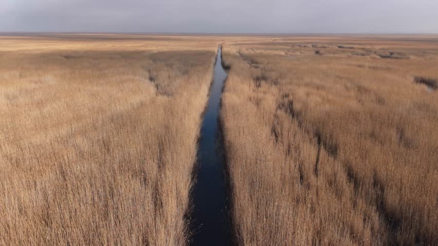 An aerial view of a dense reed marsh divided by a narrow, dark water channel stretching toward the horizon. The warm golden tones of the dry reeds contrast with the deep blue water.