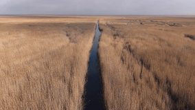 An aerial view of a dense reed marsh divided by a narrow, dark water channel stretching toward the horizon. The warm golden tones of the dry reeds contrast with the deep blue water. - Powered by Shutterstock - Get 15% off with code: PIKWIZARD15