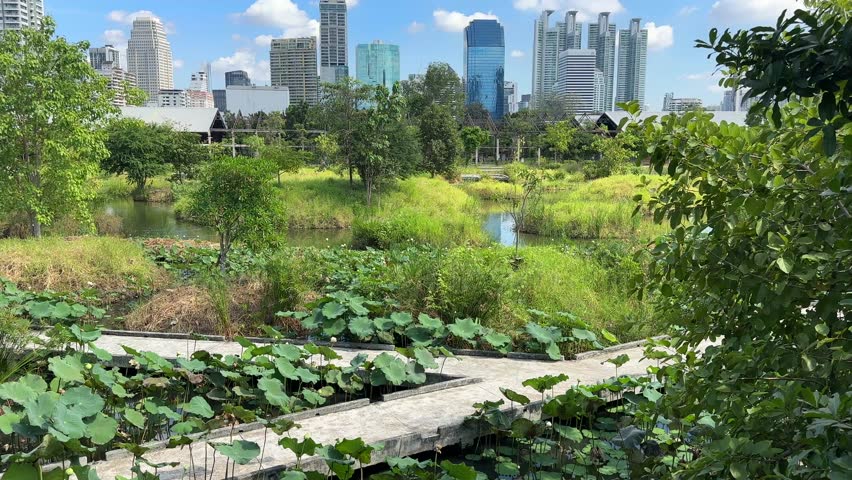 Bangkok Skyscrapers Skyline View from Benchakitti Park – City Buildings Behind Lake and Green Nature, Central Bangkok Thailand, Southeast Asia Urban Landscape Video