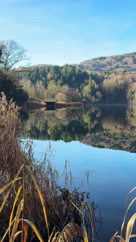 Autumn landscape of a lake in the middle of a forest. Heglwertersee, a lake in Bavaria, Germany. Natural landscape. Vertical video. Beautiful clean lake, reflection of the forest in the water