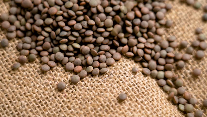 Raw brown lentils falling onto burlap in slow motion. Rustic View