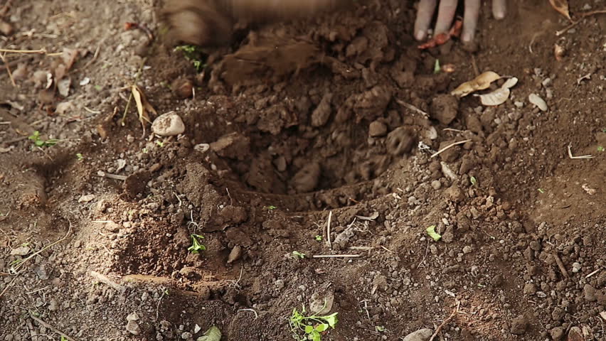 A close-up view of a traditional hoe digging into dry soil in an Indian agricultural field. The image represents manual farming tools, rural labor, traditional agriculture, and cultivation practices.