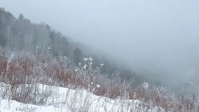 A snow-covered hillside on a foggy winter day. The slope is covered with snow, with dry grass and plants covered with frost. In the background, trees are visible, silhouettes of which are lost in the  - Powered by Shutterstock - Get 15% off with code: PIKWIZARD15