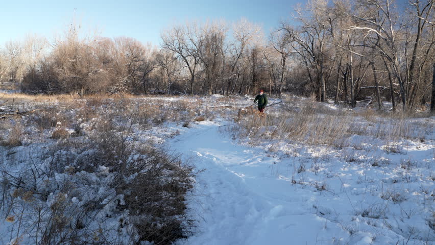 senior man is Nordic walking on a trail through a riparian forest along the Poudre River in Colorado, winter scenery