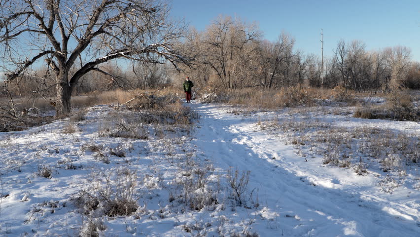 senior man is Nordic walking on a trail through a riparian forest along the Poudre River in Colorado, winter scenery