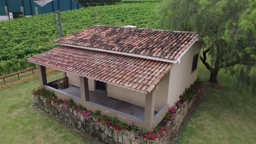 Old house with garden and tree in farm