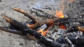 The flame of the fire rises and flickers over the burning fires. The camera moves smoothly along the fire. showing subtle changes in the intensity of the fire and the glow of embers in the open air. - Powered by Shutterstock - Get 15% off with code: PIKWIZARD15