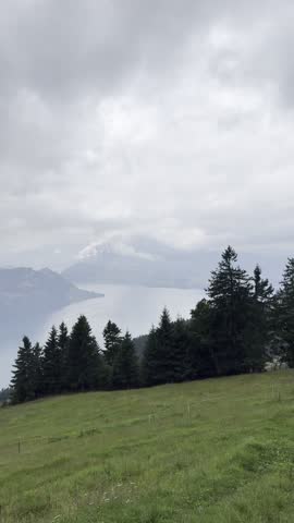 A cloudy alpine view from Mount Rigi overlooking Lake Lucerne, with green meadows and dense forest slopes descending toward the water under shifting mist.