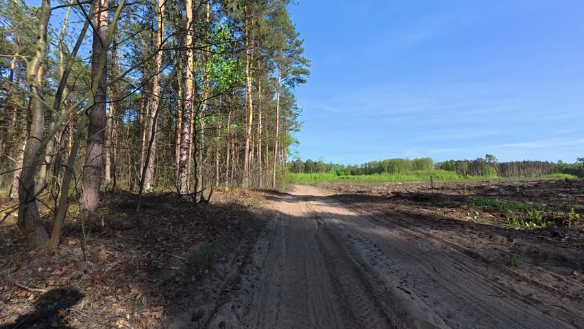 Mountain Biking on Forest Trail, Sand and Dirt Road, 4K Video