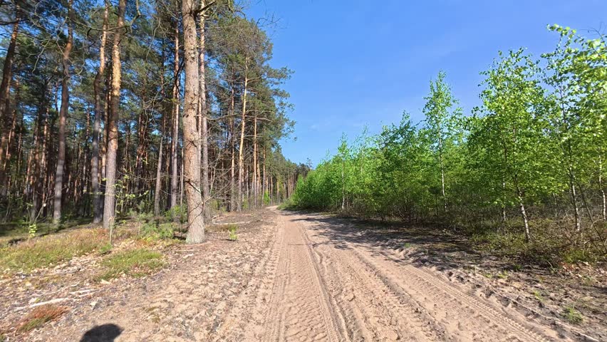 Mountain Biking on Forest Trail, Sand and Dirt Road, 4K Video