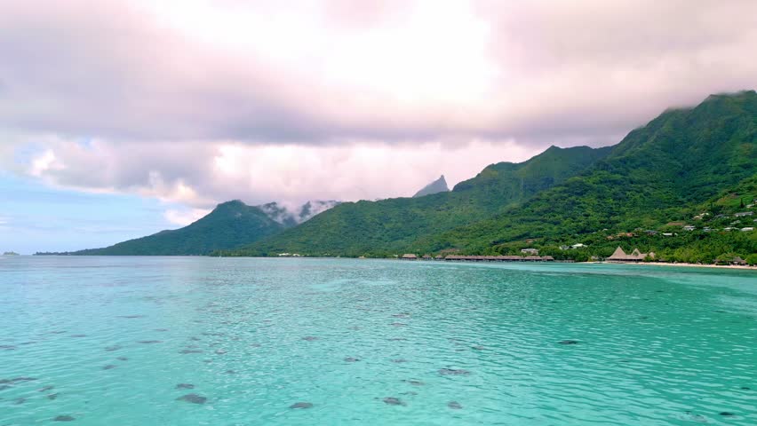 Scenic Aerial shot of Plage de Temae Public Beach in Moorea French Polynesia