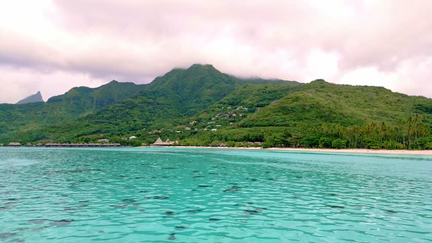 Scenic Aerial shot of Plage de Temae Public Beach in Moorea French Polynesia