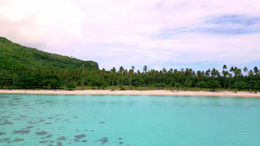 Scenic Aerial shot of Plage de Temae Public Beach in Moorea French Polynesia