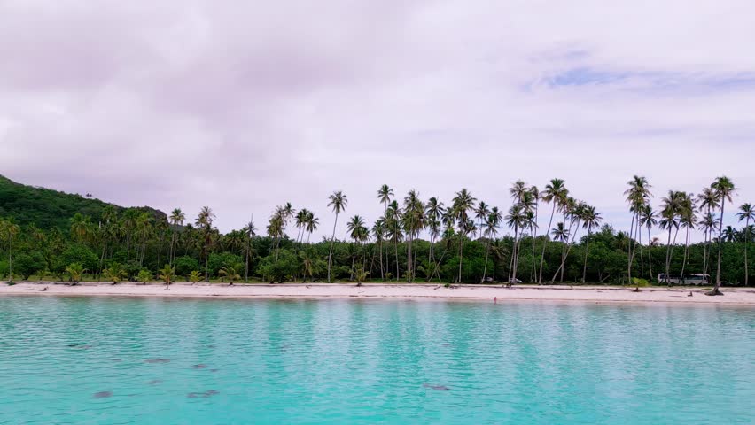 Scenic Aerial shot of Plage de Temae Public Beach in Moorea French Polynesia