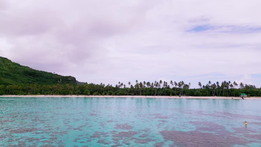 Scenic Aerial shot of Plage de Temae Public Beach in Moorea French Polynesia