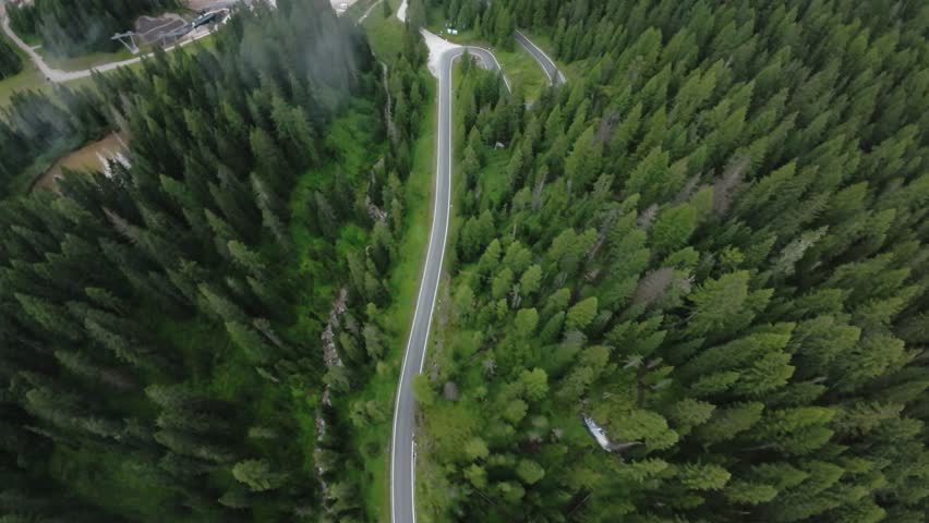 dolomites topdown view of solitary forest lane cutting through dense canopy, narrow road framed by towering pines and misty understory, evokes solitude, exploration and peaceful outdoor