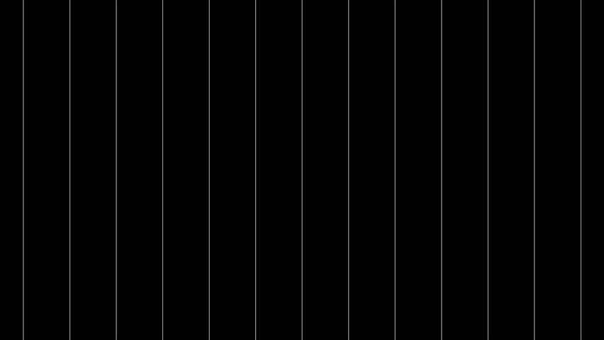 Abstract animation of black and white slow vertical blinds opening and closing in thirteen narrow bars 