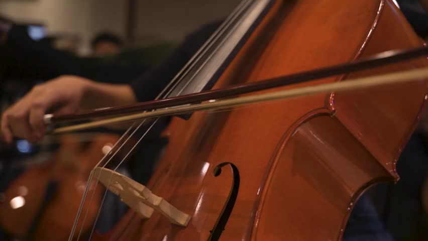 Close-Up of Cellist Playing Cello During Orchestra Practice