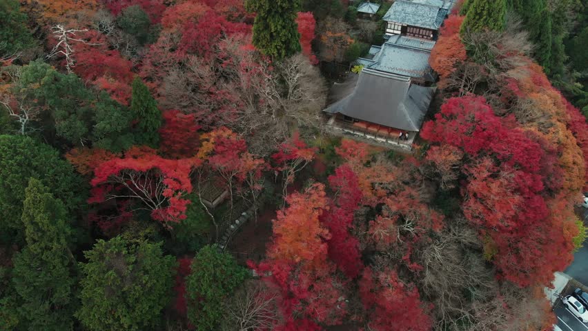 Aerial in Kyoto Japan Temple of Kozanji Wooden Halls Pagoda around Autumn Forest