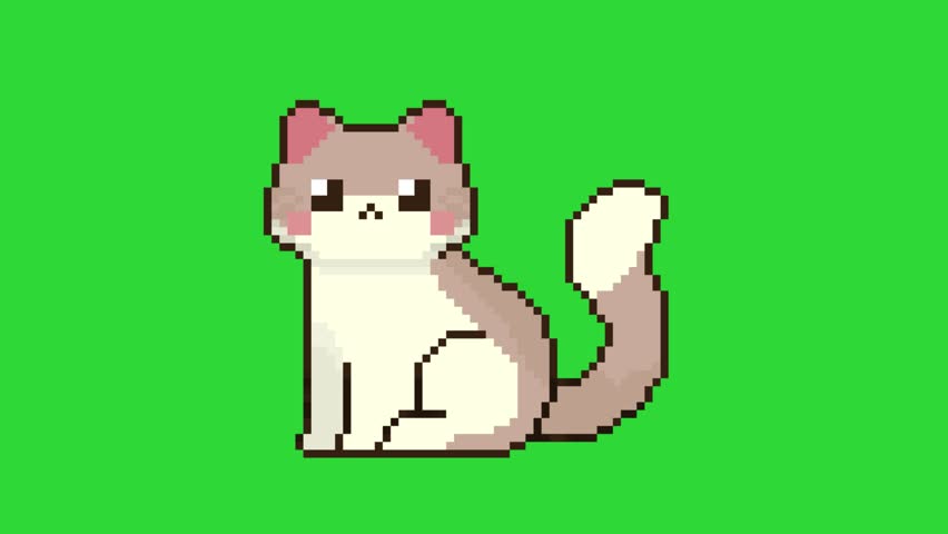 a cat sitting while wagging its tail in pixel art style with green screen animation