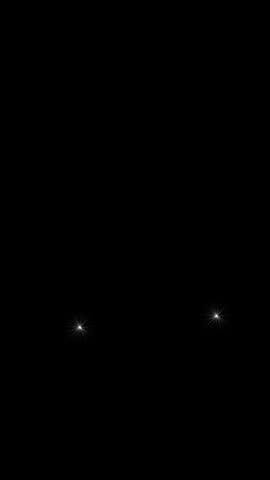 Flashing Light Background Loop | White Camera Flash Lights Background Loop