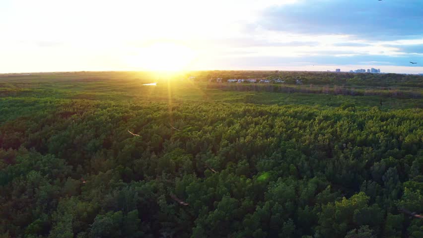 The sun settles over the mangrove wetlands of Matheson Hammock Park, casting warm light across the dense green canopy and distant Miami skyline along the Biscayne Bay coastline.