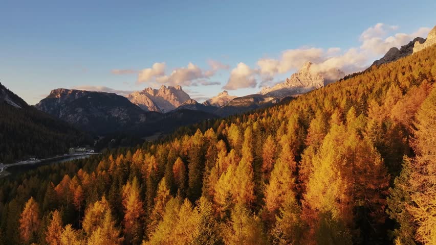 Scenic aerial view of fiery autumn colours in an alpine forest. Drone view of the Dolomites in the fall, near Lake Misurina