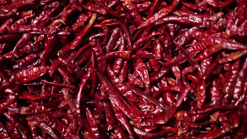 Dried red chili pepper background