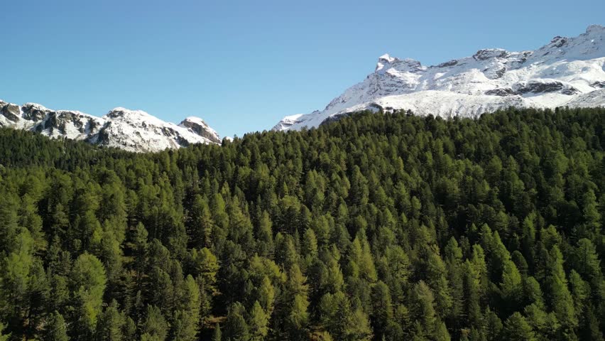 Majestic Snow-Capped Mountain Peaks Rising Above a Dense Green Pine Forest
Stunning Alpine Wilderness Landscape Under a Clear Blue Sky