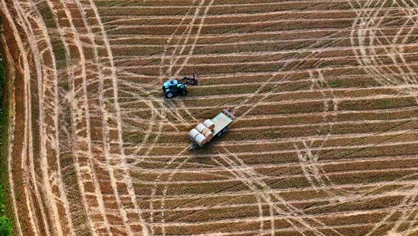 Tractor loading hay bales onto trailer in cultivated farmland