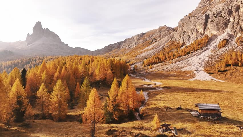 Picturesque yellow larches orange colored. Croda da Lago mountain at background, majestic landscape at autumn time.