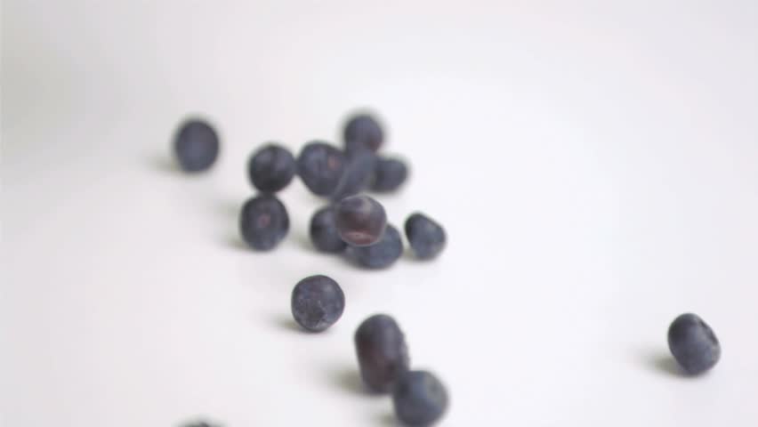 Blueberries shifting and rolling, notification badges appearing, floating to show rising engagement. Berries, macro, stilllife, studio, tabletop, highkey, minimalist