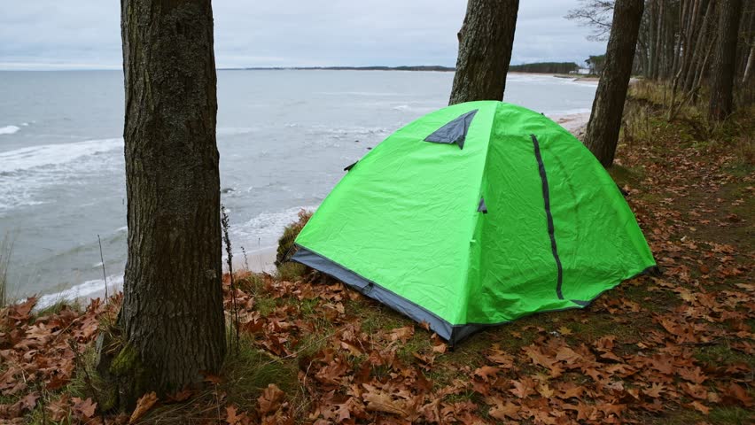 Bright green tent pitched on leaf-covered ground near Baltic Sea coastline under cloudy sky. Calm sea waves meet forest edge, capturing peaceful coastal wilderness ambiance