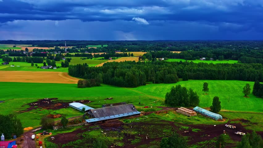 Aerial view of cattle farm and green fields under dark summer rain clouds