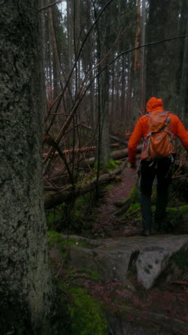 Man walks along a trail in a forest near Gothenburg while surrounded by trees and fallen branches during a rainy day
