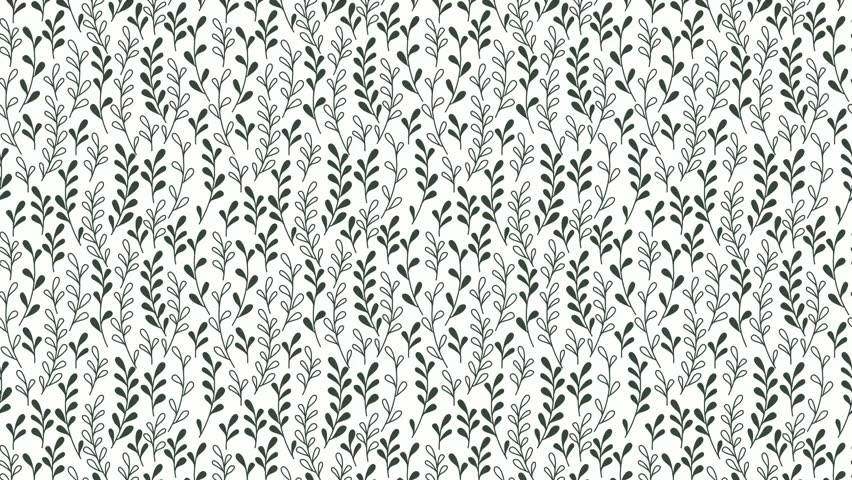 Seamless abstract floral pattern video  with dark green stems and leaves with outline on white background. Could be used as wallpaper or background for any content, loops continuously. 