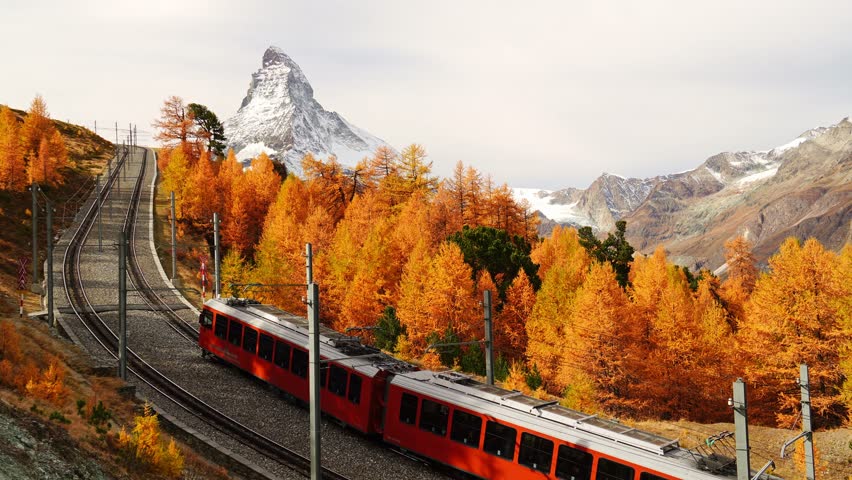 Gornergrat Railway Train, Matterhorn Mountain and Yellow Golden Larches in Autumn. Fall Colors. Swiss Alps. Zermatt, Valais, Switzerland