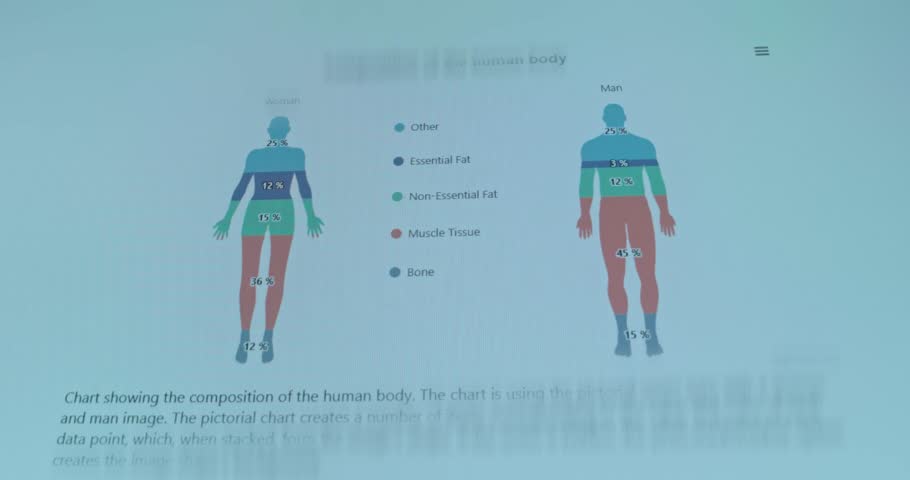 Pictorial chart illustrating the average body composition of a woman and a man