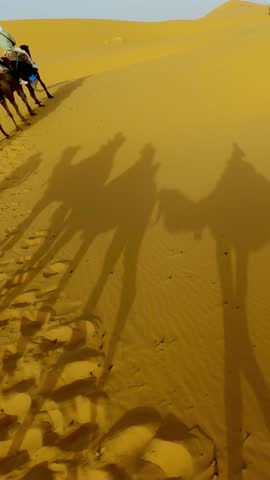 Silhouettes of camel riders are portrayed vividly as shadows on sunlit golden desert dunes, vertical video