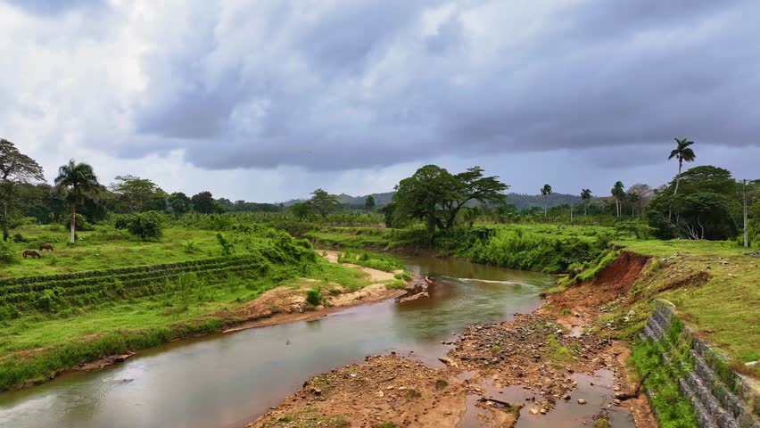 Aerial view of the river in Las Haitises National Park in the Dominican Republic. Hiking through natural landscapes. Drone view of a tropical summer landscape.
