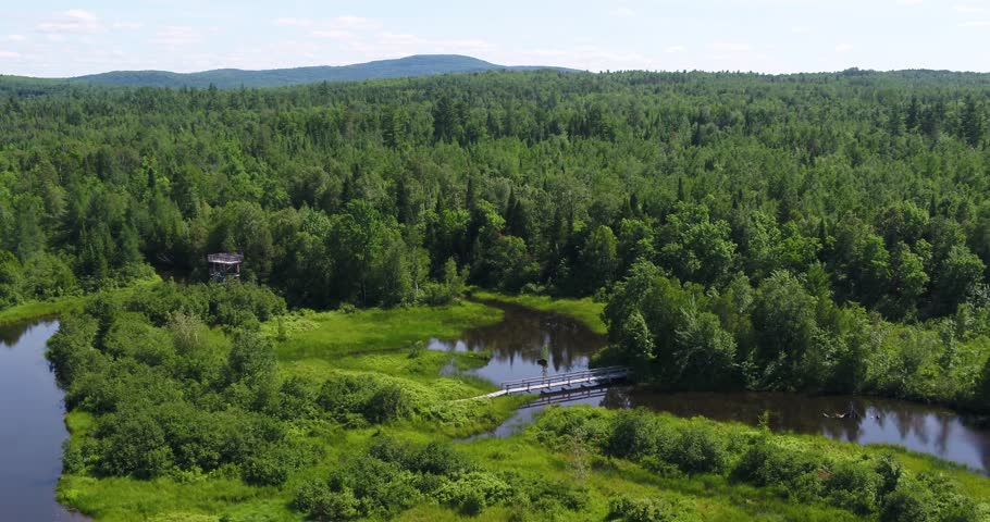 Aerial summer view of the Marais Maskinongé marsh trail in Stratford, Quebec. Scenic boardwalk, wetlands, calm water, and lush Eastern Townships nature.