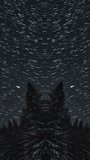 Vertical star trails timelapse above dark conifer forest with mirrored night sky symmetry - Powered by Shutterstock - Get 15% off with code: PIKWIZARD15
