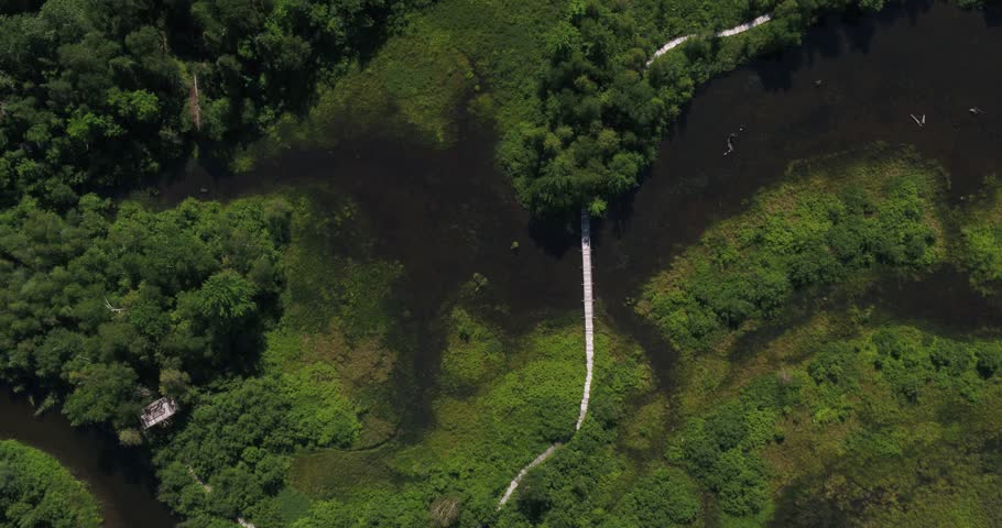 Top-down aerial view of a wooden walkway in a marsh at Sentier des Marais in Stratford Quebec. Scenic wetland landscape with boardwalk and summer nature.