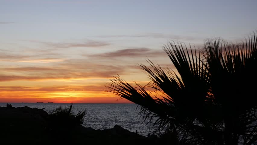 Beautiful sunset on the beach with palm tree and sea view.
