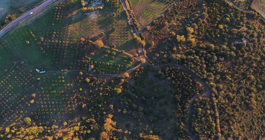 Aerial view of fields and roads, Italy.