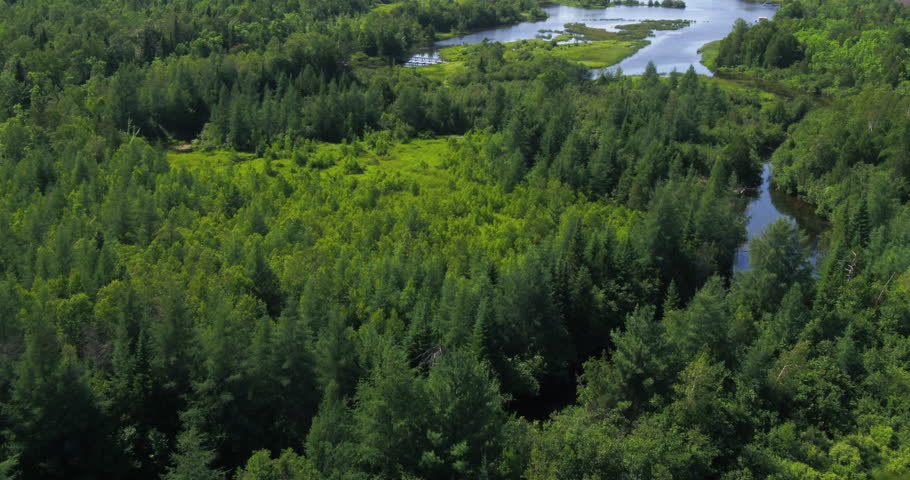 Aerial summer view of the Marais Maskinonge marsh trail in Stratford Quebec. Scenic boardwalk, wetlands, calm water and lush Eastern Townships nature.