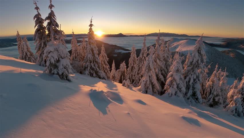 Panoramic View of Sunrise Over Snowy Forest in Peaceful Winter Mountains