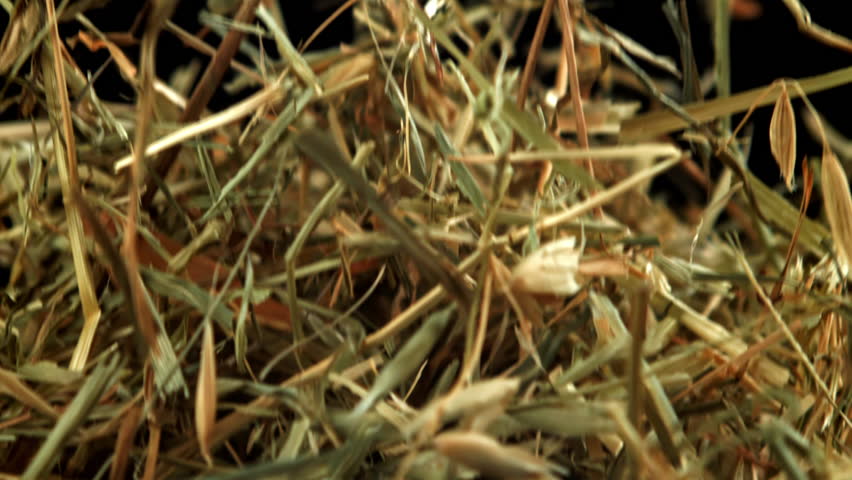 Hay flies and falls on a black background. Filmed on a high-speed camera at 1000 fps. High quality FullHD footage