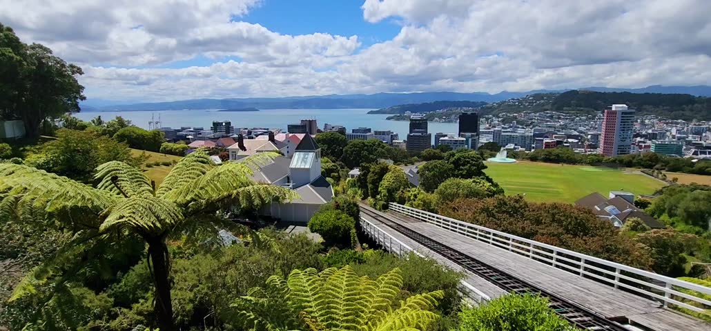 Wellington, New Zealand - 22 January 2025: Wellington City and Harbor View. Cable Car Track, Greenery and Skyline from Elevated Vantage Point. The video captures the scenic view of Wellington. 